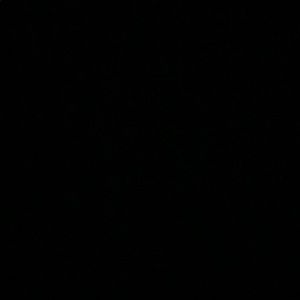 Meet your Posher, Dee